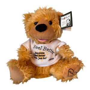 NWT Poet Noah BenShea Feel Better Bear PBC International Animated Talking Gift